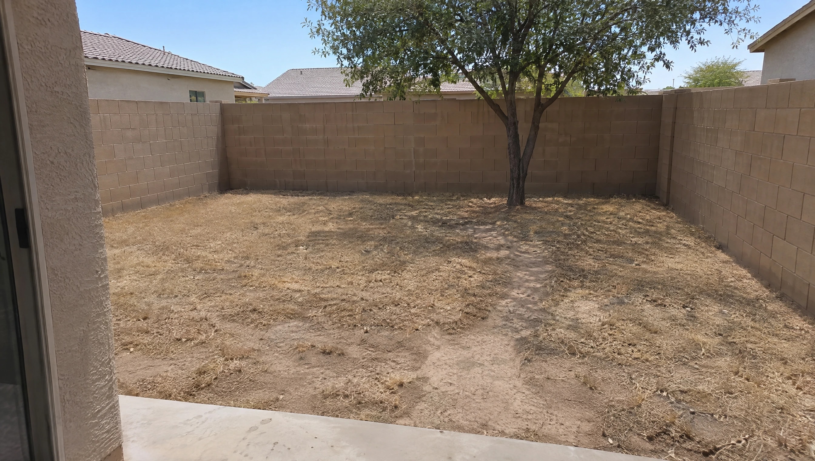 Before: Chandler backyard, worn dog yard replaced with pet turf