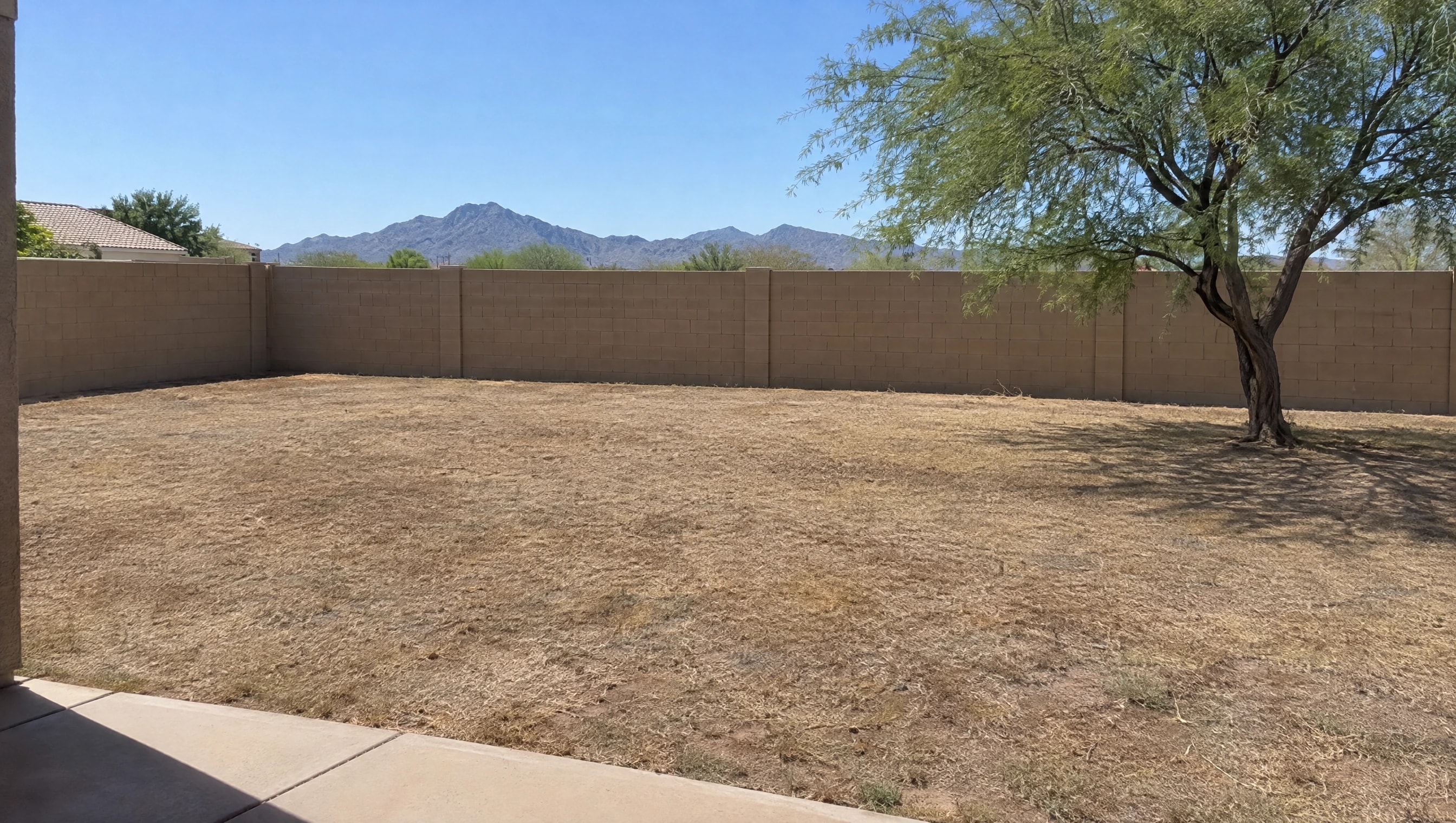 Before: Scottsdale backyard, dead lawn replaced with a putting green