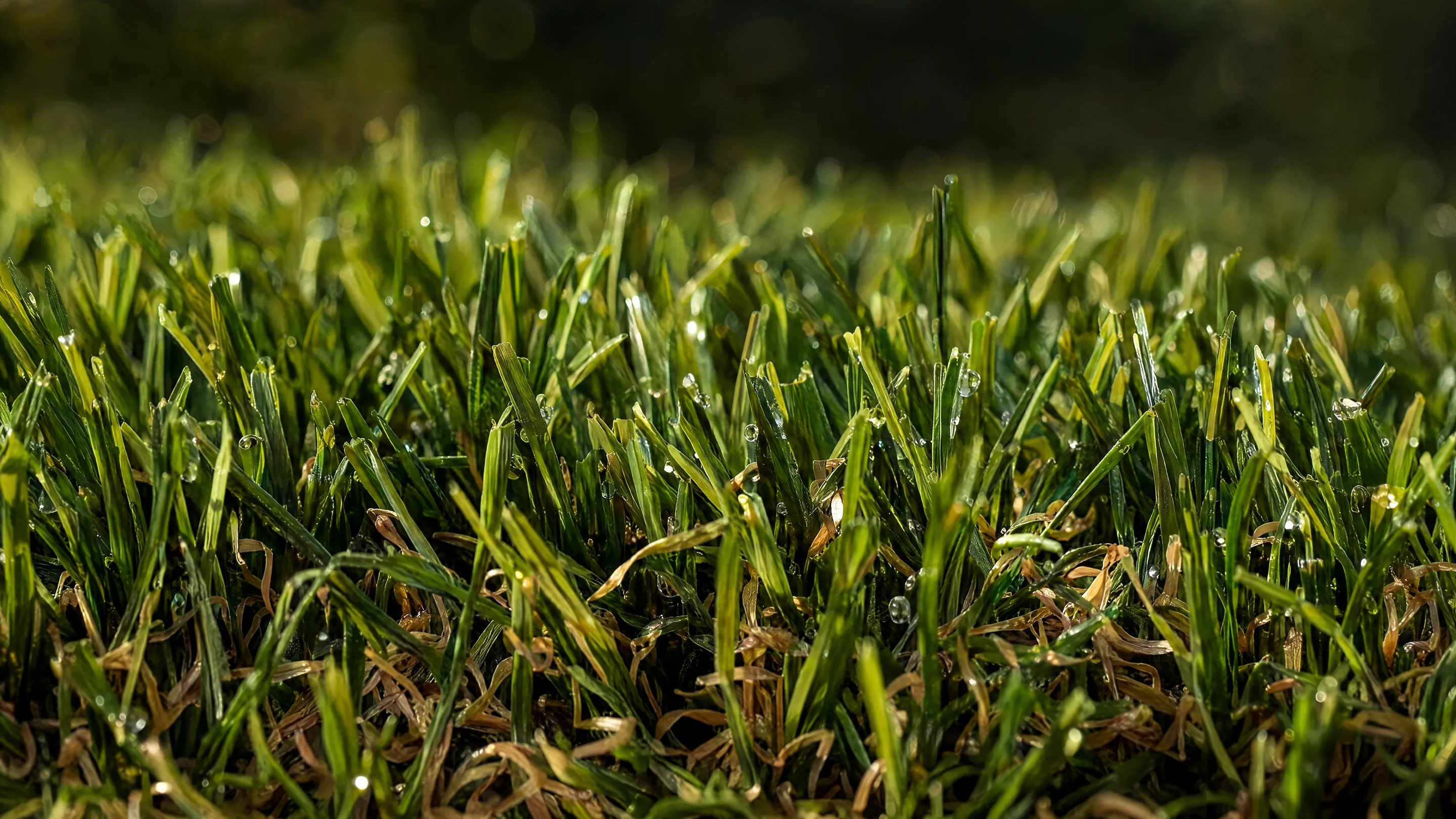 Close-up of artificial turf blades